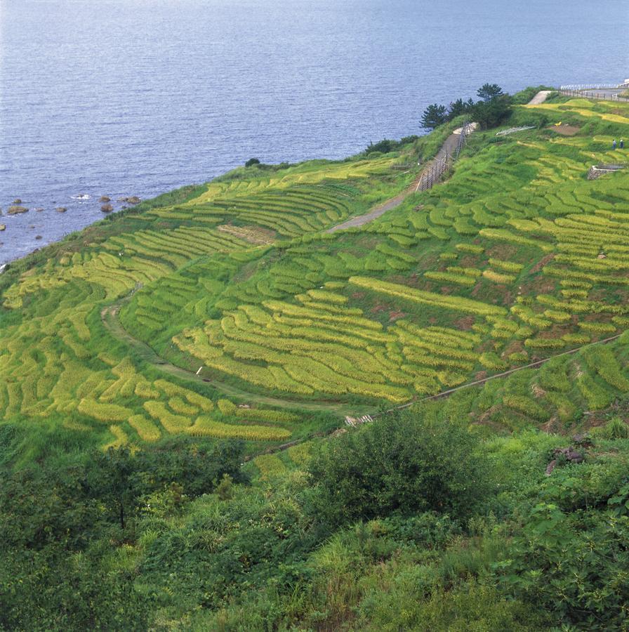 Castle Manai Hotel Anamizu Ngoại thất bức ảnh